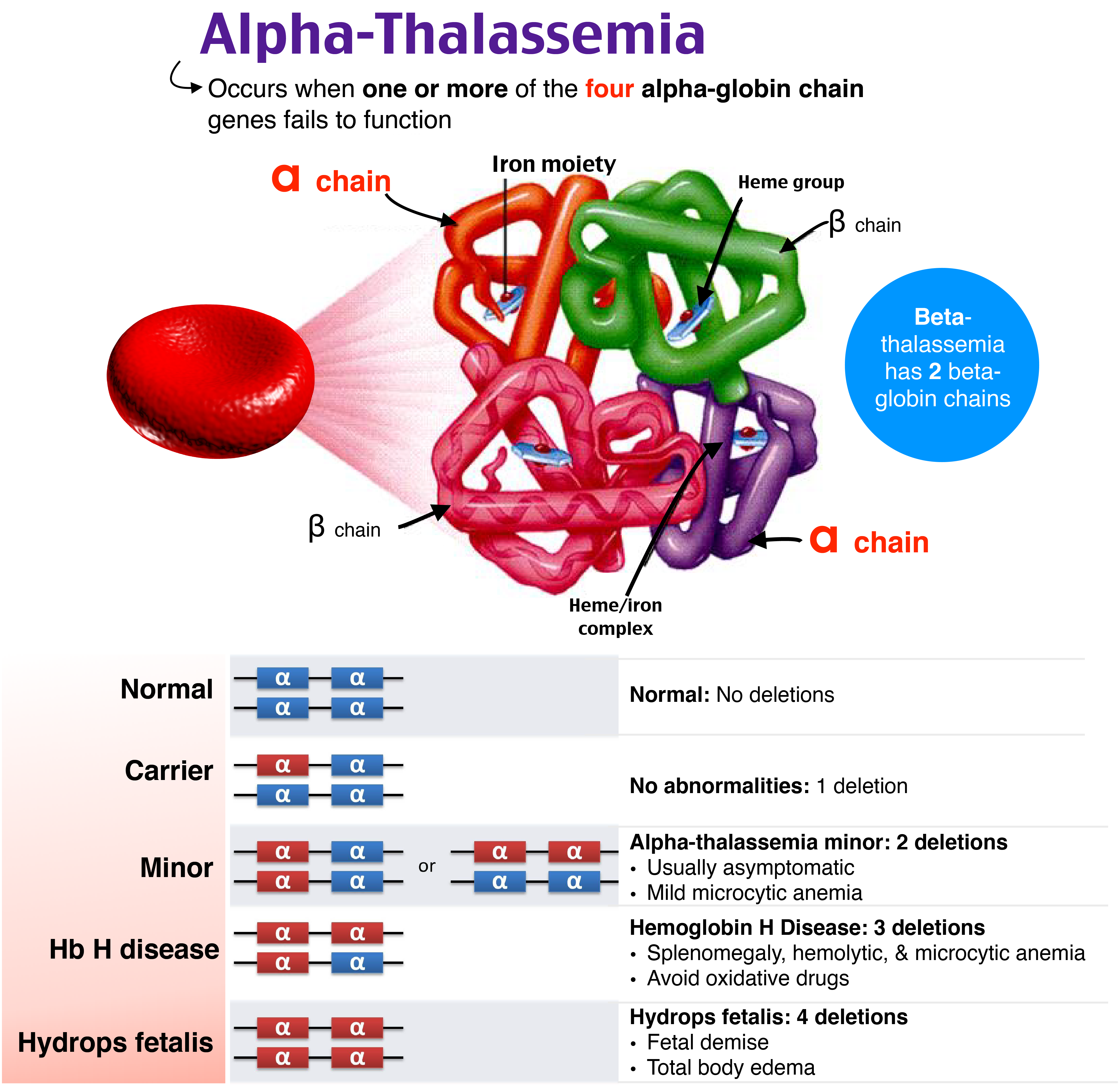 OB GYN   36555dbc507b67470e8b64bf6b6d3902 Image   Alpha Thalassemia %408x 